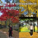 아리수가든 | 과천 가을 단풍 - 서울대공원 동물원 테마 가든 입장료 주차장 할인정보