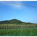 양지저수지 이미지