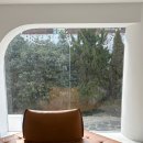 W | W. 글렌하우스 웨딩 촬영 후기 (w.이보람작가님)