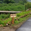 (주)나무새
