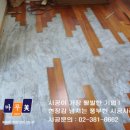 마루보수 : 남양주 오남리 롯데아파트 애완견 벼뇨로 손상된 온돌마루부분보수 (마루미) 이미지