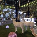 굿나이스몰