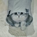 깔깔깔 이미지
