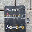 연남고추떡방앗간 | 일상 - 청계천 빛초롱축제 (포켓몬스터 잉어킹), 조갈찜 위찜