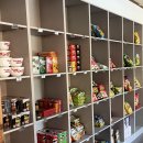 낭만장작정관점 | 부산 근교 정관 글램핑장 [초원 숲속 글램핑] 저녁 고기 야채 조식까지 제공하는 글램핑장