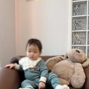 정원일기 | [육아일기]용인 수지의정원 돌잔치 후기 용인,수원 돌잔치추천