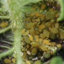 기문농장 이미지