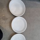 올카즈 이미지