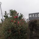 동백한우농장 네이버블로그