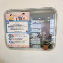 삼콩댕댕이발소 이미지