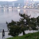 녹차향기 이미지
