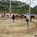 화랑초등학교 이미지