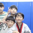 륜 태권도장 네이버블로그