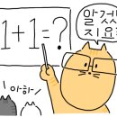 타짜오리하우스 이미지