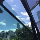 [3박 4일 홍콩 여행] 대한항공 직항 마이리얼트립 예약 후기 (ft. 제휴 링크, 쿠폰과 마일리지 적립까지)