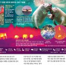 'Netizen 신비 동물의 왕국' 2018. 7. 15(일요특집) 이미지