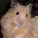 남희청국장 | 에너지를 내볼까 으랏차