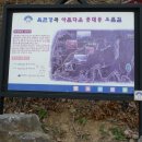 푯대봉 조망 이미지