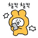 비스코프카페