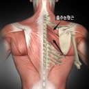 깊은숲한의원 이미지