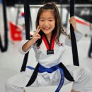 품 태권도 이미지