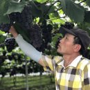 김영창 농장 이미지