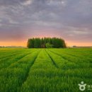 고군산-시간여행마을 이미지