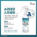 레푸스 경대점 이미지