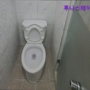 스테이 루나 이미지