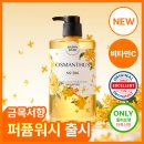 여름철에도 은은한 살냄새 나는 법! 금목서 바디워시 후기🌼 이미지