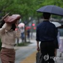 영서네 이미지
