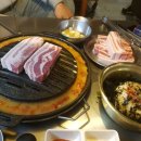 마포갈매기 이미지