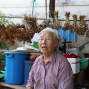 곡성-272 네이버블로그