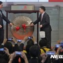 중국채 이미지