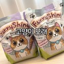 고양이 모래 추천 퓨리샤인 벤토나이트 모래 후기