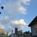 감삼태권도 | 202409 #01