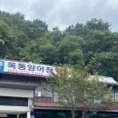 영월동로 | 영월 김삿갓면 맛집 옥동양어장횟집 송어회와 산천어 매운탕 후기