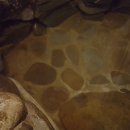 성터민박 이미지