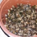 여우별민박 이미지