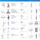 하빌리스 운동센터 이미지