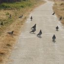 광주 천변길4 이미지