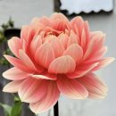 형제건강원 이미지