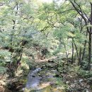 미계 신의련 유적비 이미지