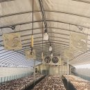 수명농장 이미지