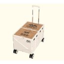 튼튼해짐 | 요즘 핫한 롤링백 '짐샌더슨 롤앤고' 내 돈 내산 후기