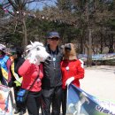 서울YMCA다락원캠프장 이미지