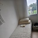 도토리하우스 - 고양시 일산서구 대산로211번길 25 | 분위기 좋은 제주도게스트하우스, 제주도게스트하우스 도토리에서 혼자 여행한 후기