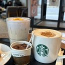 대해로 | 스타벅스 26년 신메뉴 프렌즈 얼그레이 베리 티 라떼 시나몬 돌체폼 카푸치노 후기