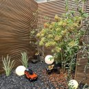 압구정미역 이미지