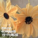 1017 | 전주백일사진 완주 1017스튜디오 2컨셉 촬영 후기｜23만원 내돈내 비용 솔직정리